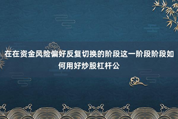 在在资金风险偏好反复切换的阶段这一阶段阶段如何用好炒股杠杆公
