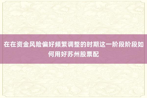 在在资金风险偏好频繁调整的时期这一阶段阶段如何用好苏州股票配