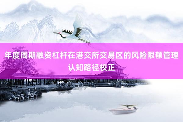 年度周期融资杠杆在港交所交易区的风险限额管理认知路径校正